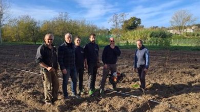 Giornata nazionale degli alberi CREA