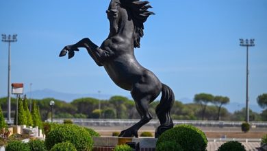 Ippodromo delle Capannelle